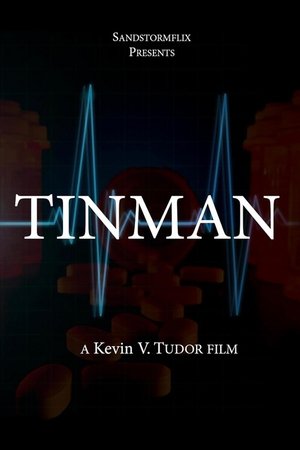 Tinman (2025) WEBRIP Hindi (MULTI AUDIO) 720p – 480p – 1080p